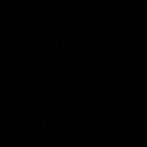 Meet your Posher, Favi